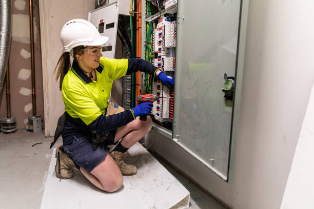Best Electric Panel Repair  in Jackson, MN