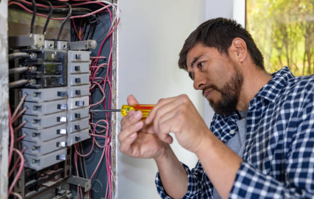 Best Licensed Electrician  in Jackson, MN